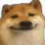 Blushdog emote for Discord