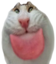 blech emote for Discord