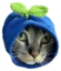 blueGoblin emote for Discord
