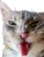 bleh emote for Discord