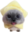 blepxiaojie emote for Discord