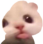 blarfield emote for Discord