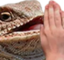 BlessHhhe emote for Discord