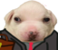 bleekybusiness emote for Discord