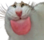blaa emote for Discord