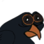 Blackbirdge emote for Discord