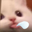 blawater emote for Discord