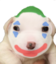 bleekyjoker emote for Discord