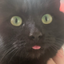 Blep emote for Discord