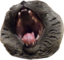 BlueMEGALUL emote for Discord