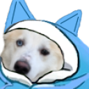 BlanketDoggo static emote for Discord, Twitch and Slack