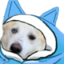 BlanketDoggo emote for Discord