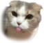 bleh emote for Discord