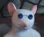 blindmouse emote for Discord
