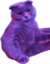Blue1 emote for Discord