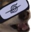 BLINDR emote for Discord