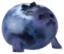 blerp emote for Discord
