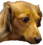 blove0Concerned emote for Discord