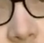 blaulpNose emote for Discord