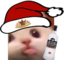 blyamas emote for Discord