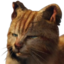 BloomCat emote for Discord