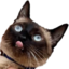 BLEPW emote for Discord