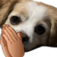 BlessBailey emote for Discord