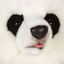 Bleppers emote for Discord