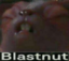 BLASTNUT emote for Discord