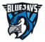 BLUEJAYS emote for Discord