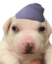 bleekysnelm emote for Discord