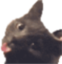 blepblack emote for Discord