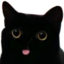 blackCatBleb emote for Discord