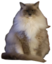 blueChungus emote for Discord