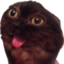 bleh emote for Discord