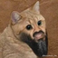 BlackiiCat emote for Discord