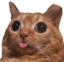 BlepDerp emote for Discord