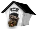 bldHOUSE static emote for Discord, Twitch and Slack