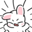 bnunnyYell emote for Discord