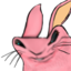 bnuyder emote for Discord
