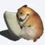 bichimimir emote for Discord