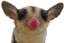 Bigears emote for Discord