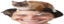 BigFluffyCatOnUzya emote for Discord