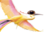 BIRDKA emote for Discord