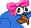 birdgeCute emote for Discord