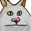 Bibikaf emote for Discord