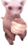 BingusQuieres emote for Discord
