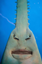 billionsmustswim emote for Discord