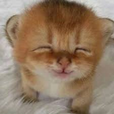 BigPooGlad static emote for Discord, Twitch and Slack