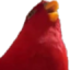 birbintime emote for Discord
